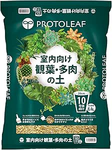 プロトリーフ