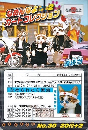 ［エンスカイ］ なめんなよカードコレクション２ 当て20付き1束