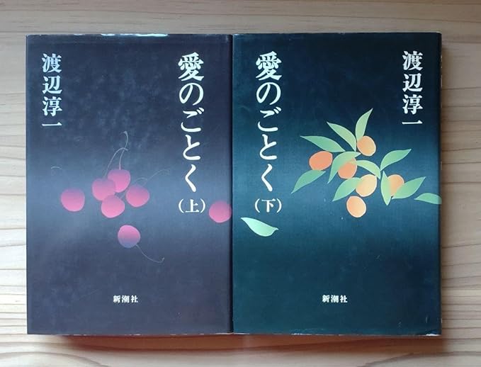 愛のごとく　上・下（渡辺淳一）