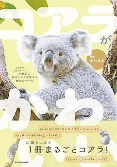 オーストラリアからコアラ6頭が日本に初めて上陸