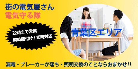 横浜市青葉区エリアの街の電気屋さん