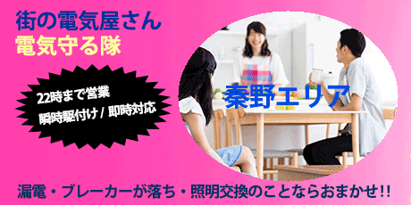 秦野エリアの街の電気屋さん