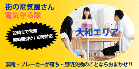 大和エリアの街の電気屋さん